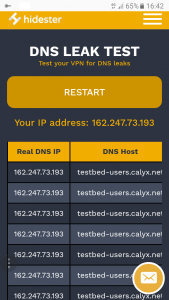 Connect the VPN and perform another test. If the data is the same you have a DNS leak. The same page explains how to solve it.