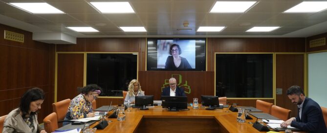 Simona Levi comparece en el parlamento vasco