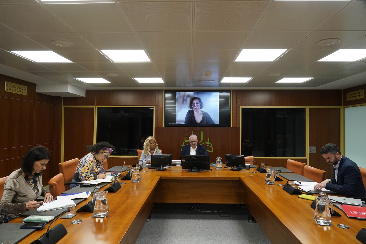 Simona Levi comparece en el parlamento vasco